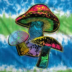 Psychedelic Shrooms Tie-Dye T-Shirt 13 Psychedelic Shrooms Tie-Dye T-Shirt -BOWIE Shop 11753f artwork 01338.1532375087