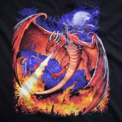 Dragon Fire Black T-Shirt 7 Dragon Fire Black T-Shirt -BOWIE Shop 31750f artwork 52446.1473448481