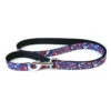 GD SYF Collage Dog Leash