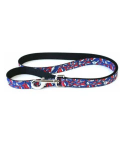 GD SYF Collage Dog Leash